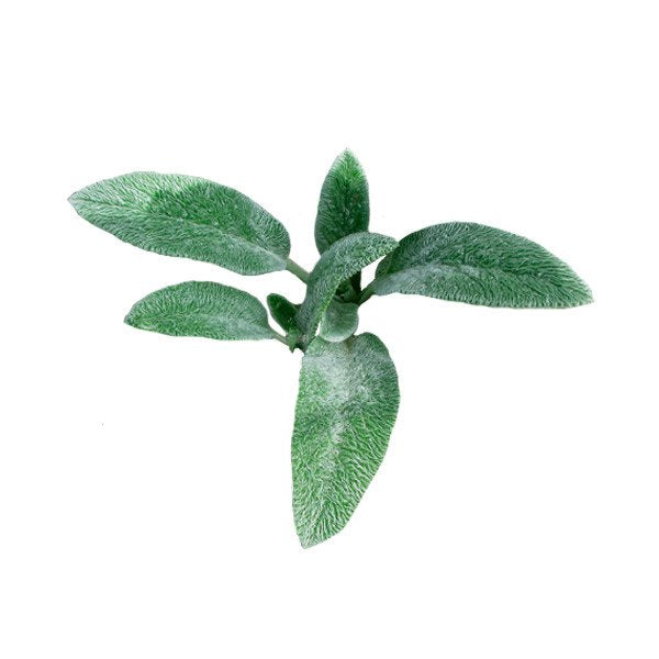 Peixinho da Horta molho