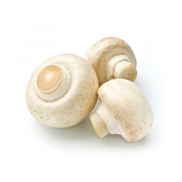 Cogumelo Paris - 200g