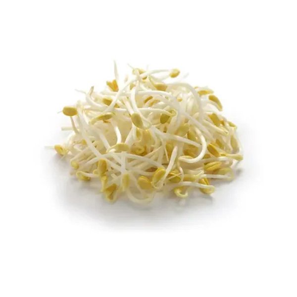 Broto de Feijão Moyashi - 500g