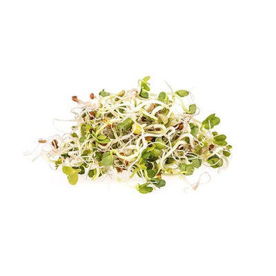 Brotos, Microverdes e Flores Comestíveis Agroecológicos