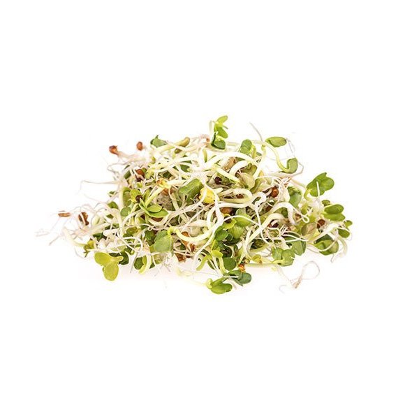 Broto de Alfafa - 150g