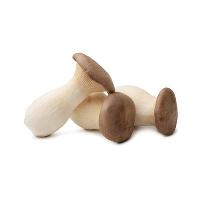 Cogumelos