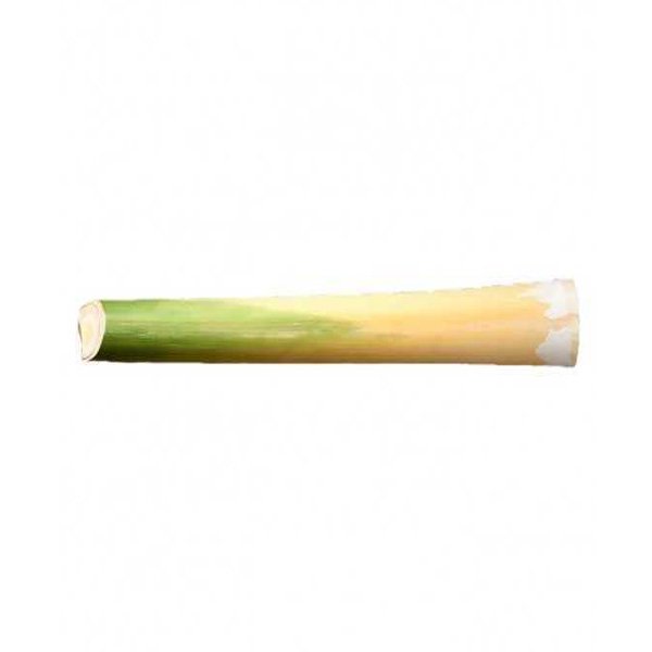 Palmito Haste - 1,5 kg aprox.