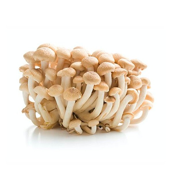 Shimeji Branco - 200g