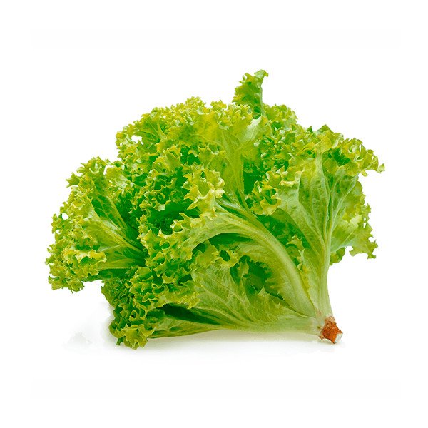Alface Crespa Verde un.