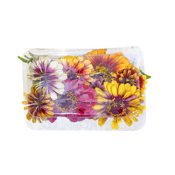 Flor Comestível Zinnia -bandeja