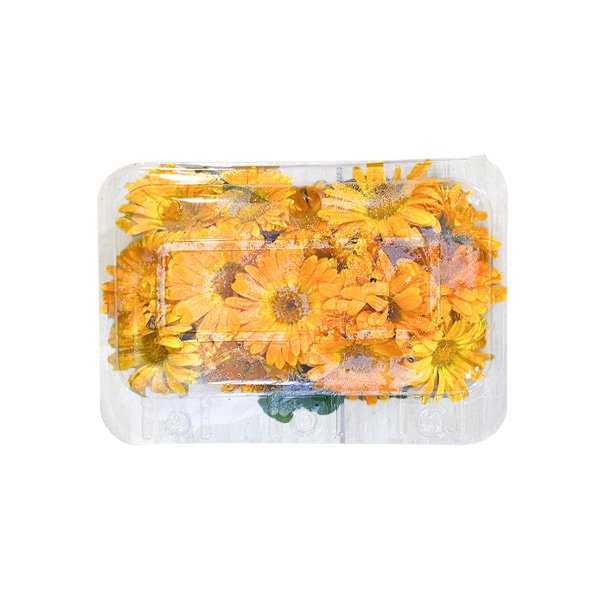 Flor Comestível Calêndula - bandeja