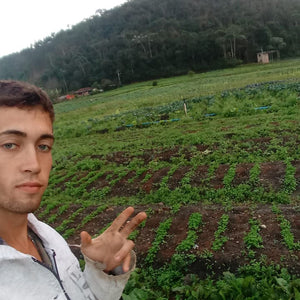 Pedro Henrique