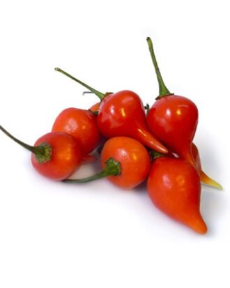 Pimenta Biquinho
